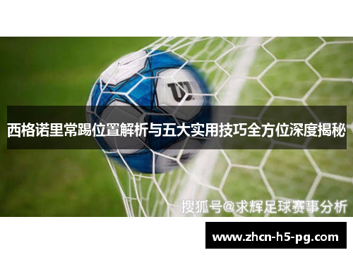 西格诺里常踢位置解析与五大实用技巧全方位深度揭秘