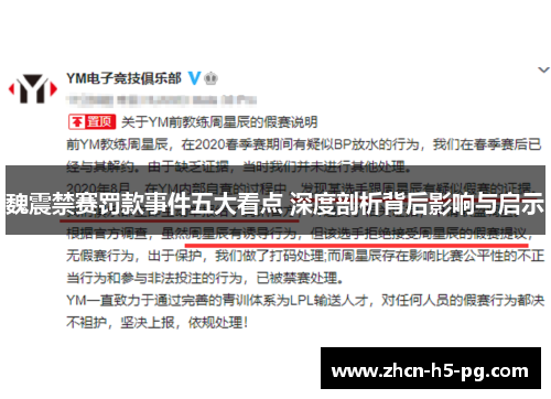 魏震禁赛罚款事件五大看点 深度剖析背后影响与启示