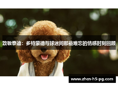 致敬泰迪：多特蒙德与球迷间那些难忘的情感时刻回顾