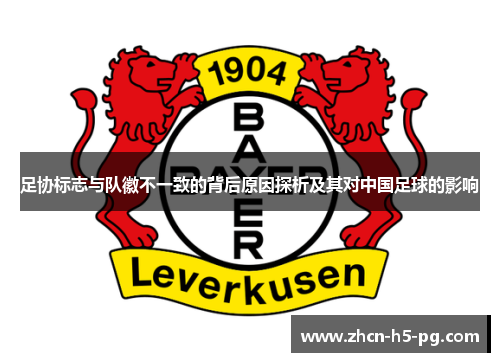 足协标志与队徽不一致的背后原因探析及其对中国足球的影响