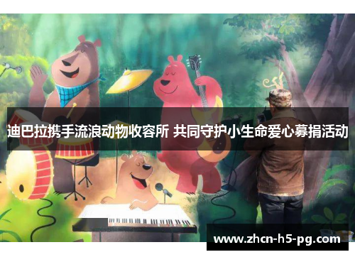 迪巴拉携手流浪动物收容所 共同守护小生命爱心募捐活动